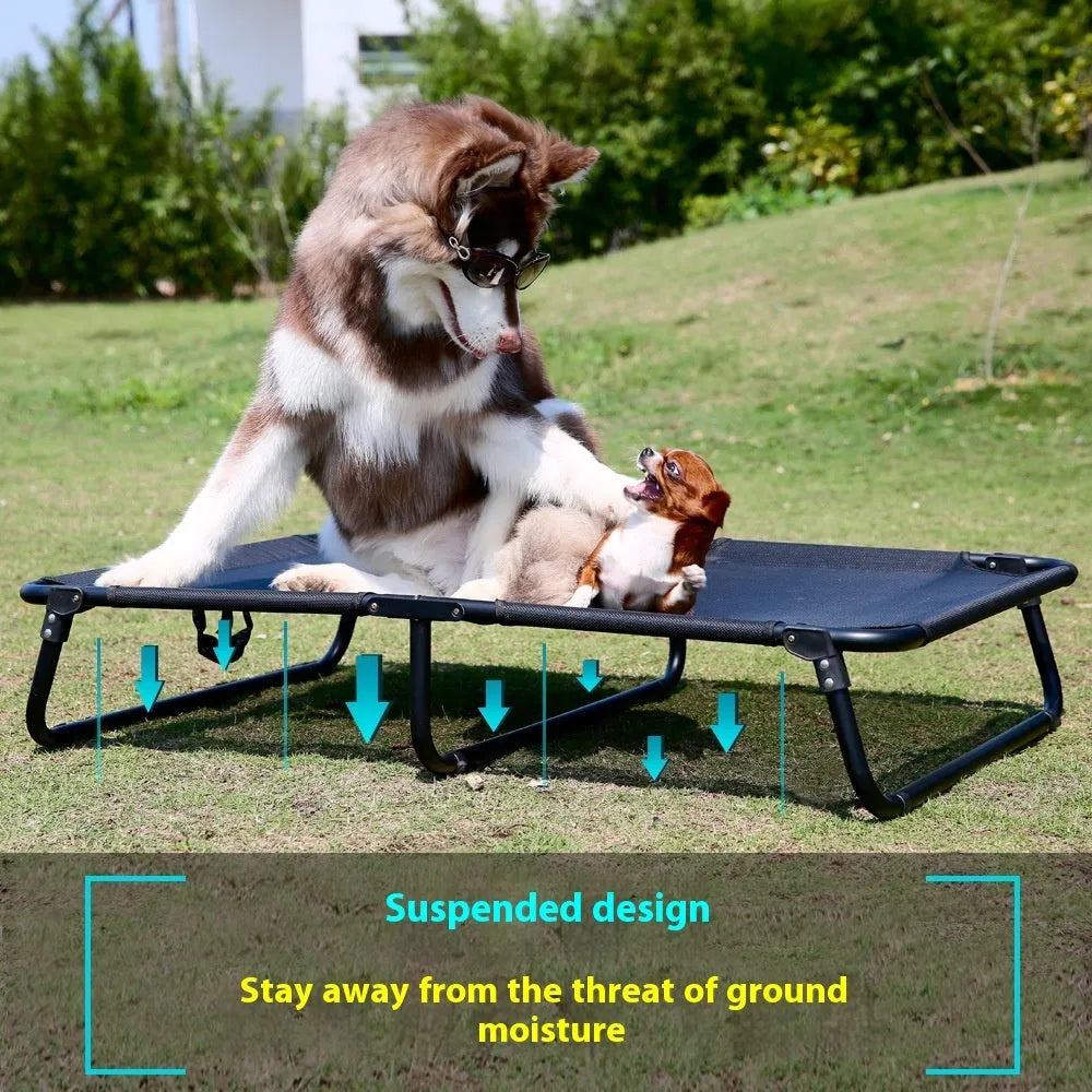 Folding dog camp bed with steel frame, mesh sides, and a mattress in size L