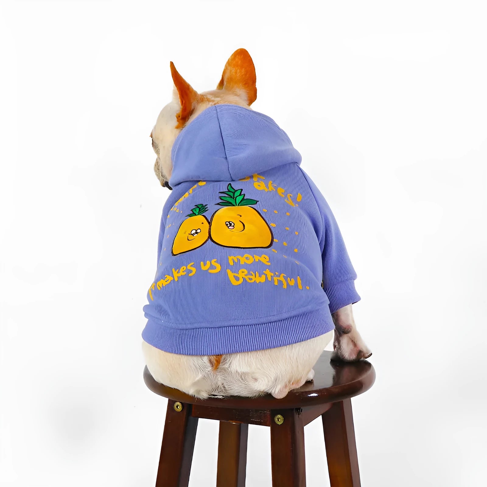 Blue and purple cotton dog hoodie with cartoon print in sizes L through 4XL