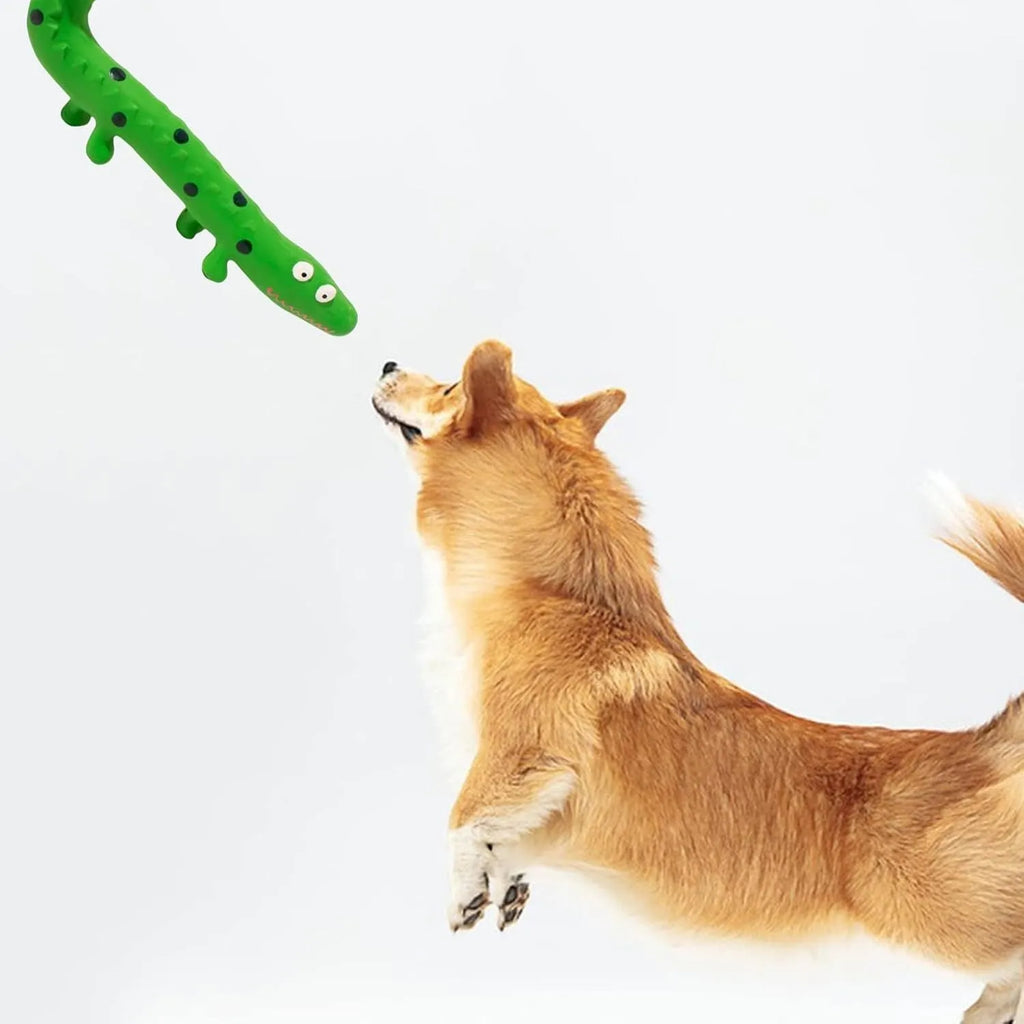 Green lizard-shaped dog chew toy with squeaker for aggressive chewers and teeth cleaning