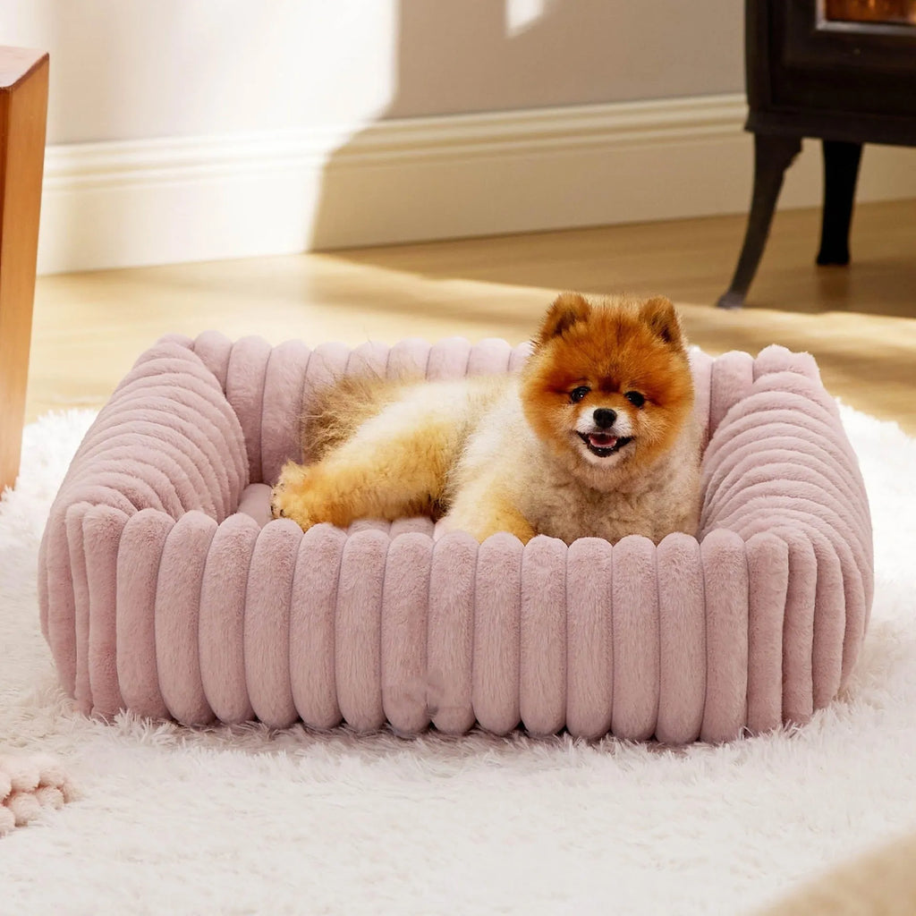 A raised winter pet bed for cats or dogs with a soft cushion, shown in a neutral colour.