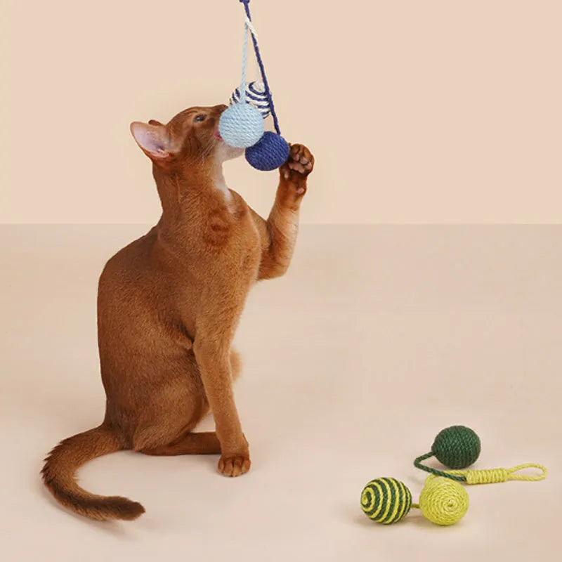 Cat toy set with blue teaser wand featuring a catnip ball and a separate self-play toy on a white background.