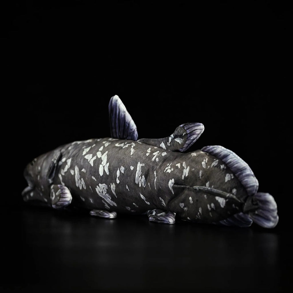 52cm printed coelacanth plush toy in black, made of soft plush and PP cotton filling