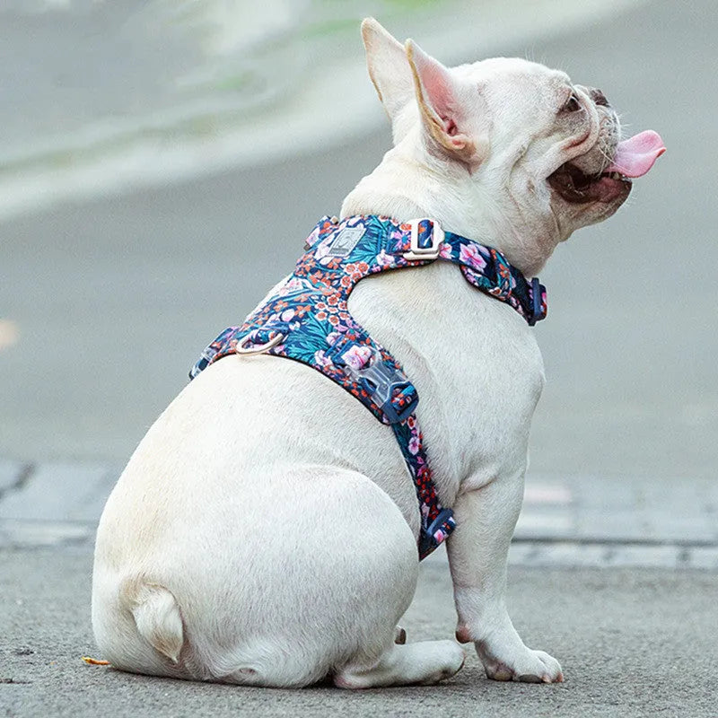 Floral pattern cotton pet harness with chest strap shown in blue, green and red colour options