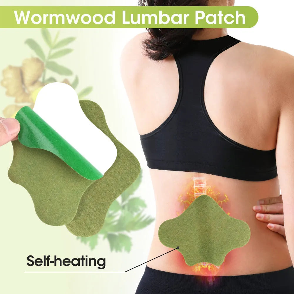 Assorted Chinese Mugwort herbal patches for knee, back, neck and foot in a sealed bag.