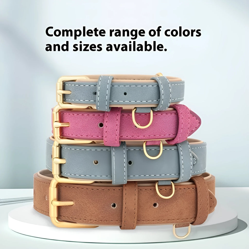 A double-layer leather dog collar and matching traction rope in blue, shown with size tags S, M, L, XL.
