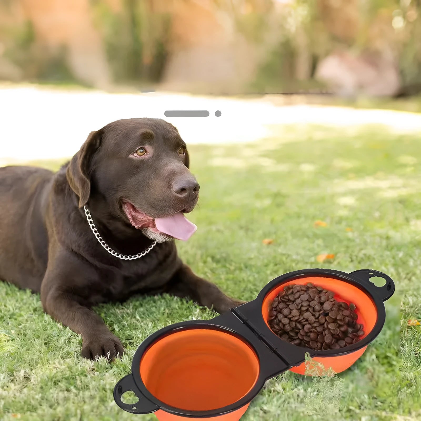 Blue silicone folding pet bowl showing two compartments for food and water in unfolded position