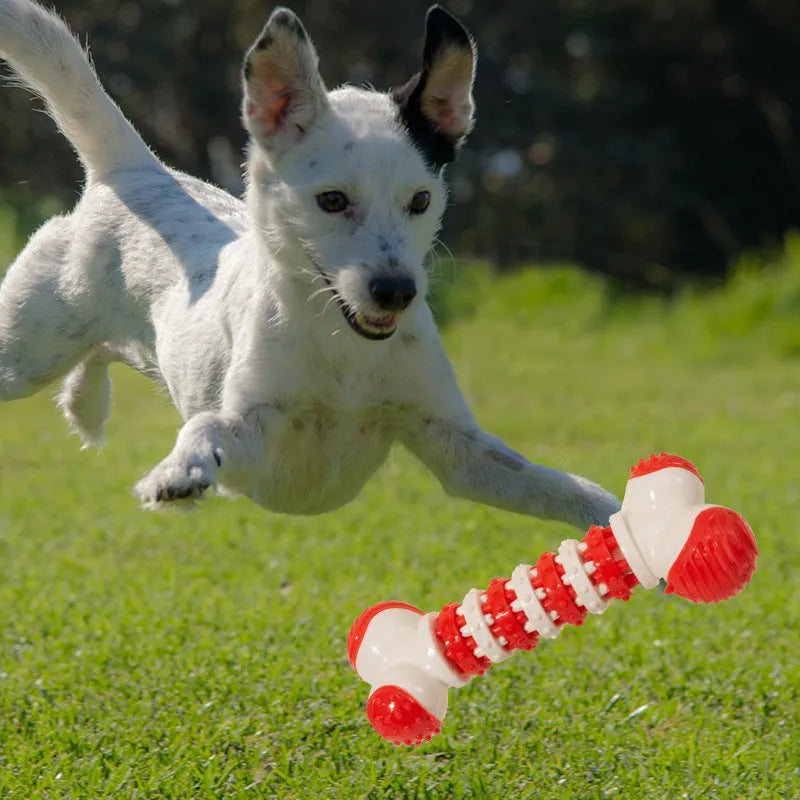 Blue bone-shaped interactive dog toy with chewable ends and centre treat holder for small breeds