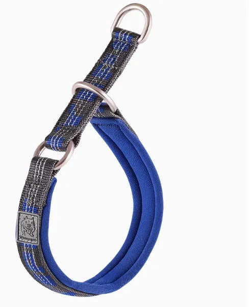 Dog P chain walking collar in nylon webbing with aluminium alloy hardware, available in multiple sizes and colours
