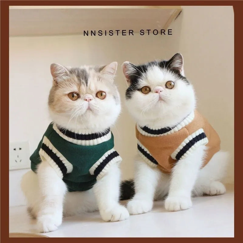 Winter cat clothing in blue duck colour on British Shorthair cat showing size range XS to 2XL