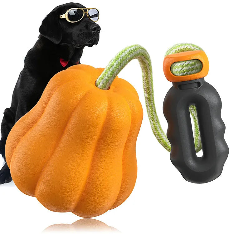 Pumpkin-coloured plastic dog chew toy with a rope attached for fetching.