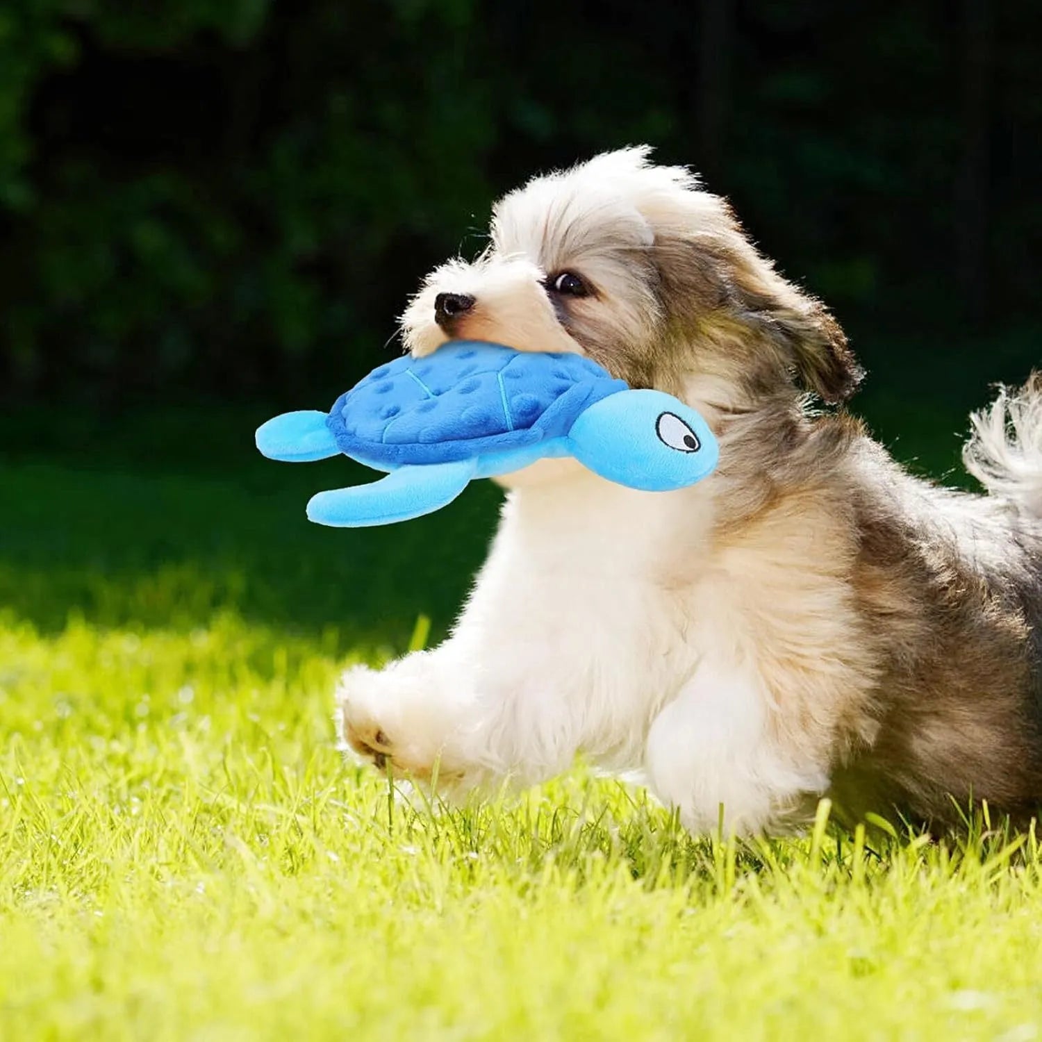 Blue green purple yellow sea turtle squeaky plush dog toy for small dogs on a white background.
