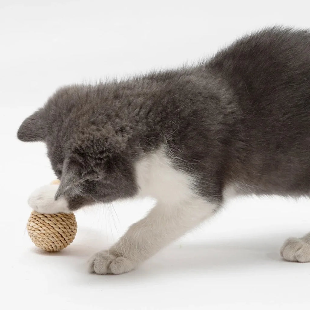 Two-piece cat toy set showing rattan ball and faux feather ball with bell