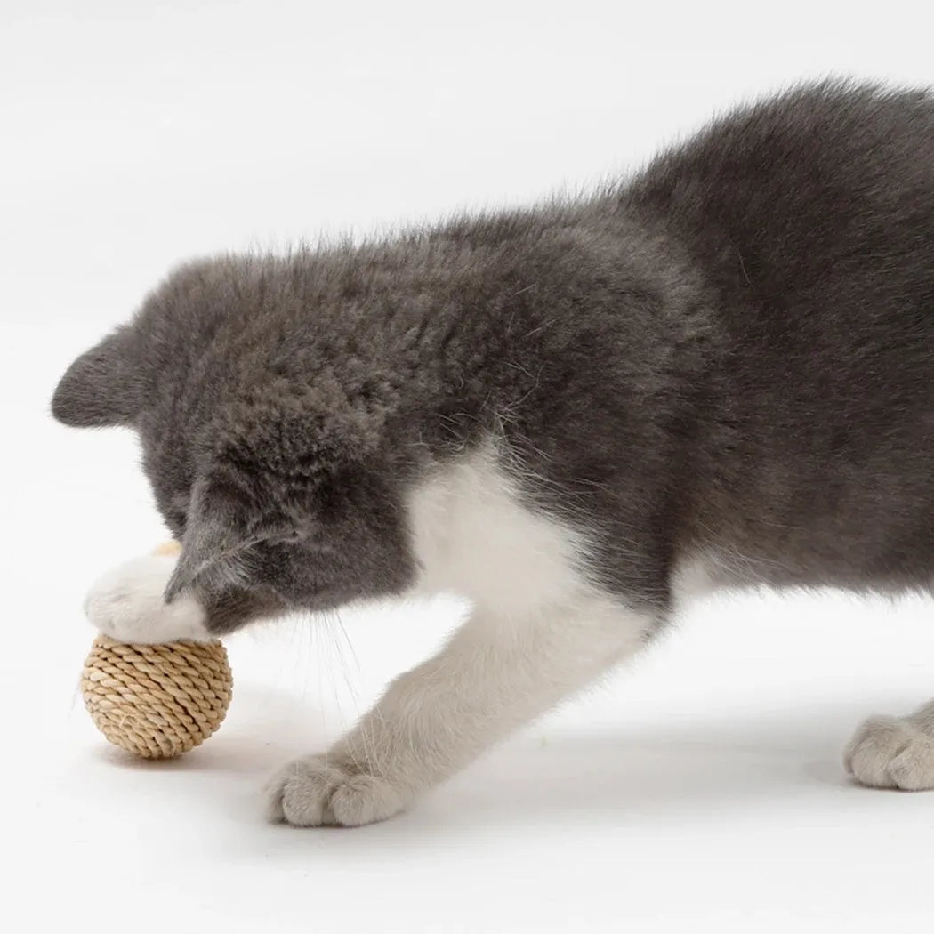 Two-piece cat toy set showing rattan ball and faux feather ball with bell