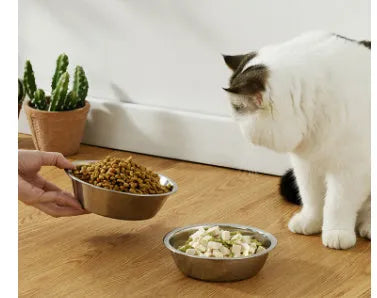 Stainless steel pet food bowl with grey silicone non-slip base, shown in multiple available sizes.