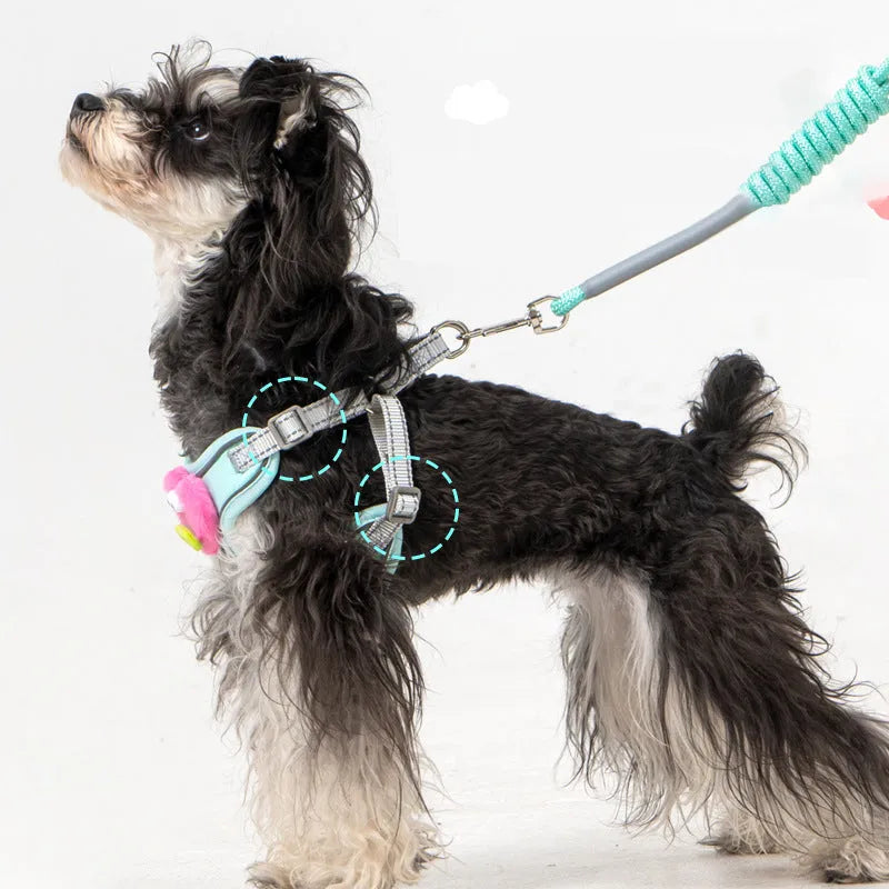 No pull dog harness with multifunction leash in blue, step-in design, reflective stitching, sizes XS to XL