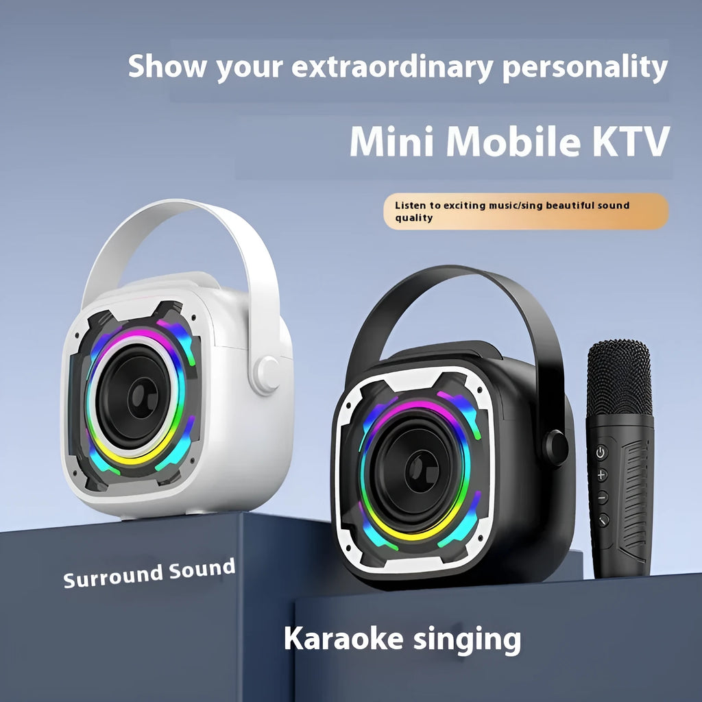 Portable wireless Bluetooth karaoke speaker with microphone in V11 colours