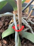 A red cat-shaped plastic clip for holding plant stems against a support stake.