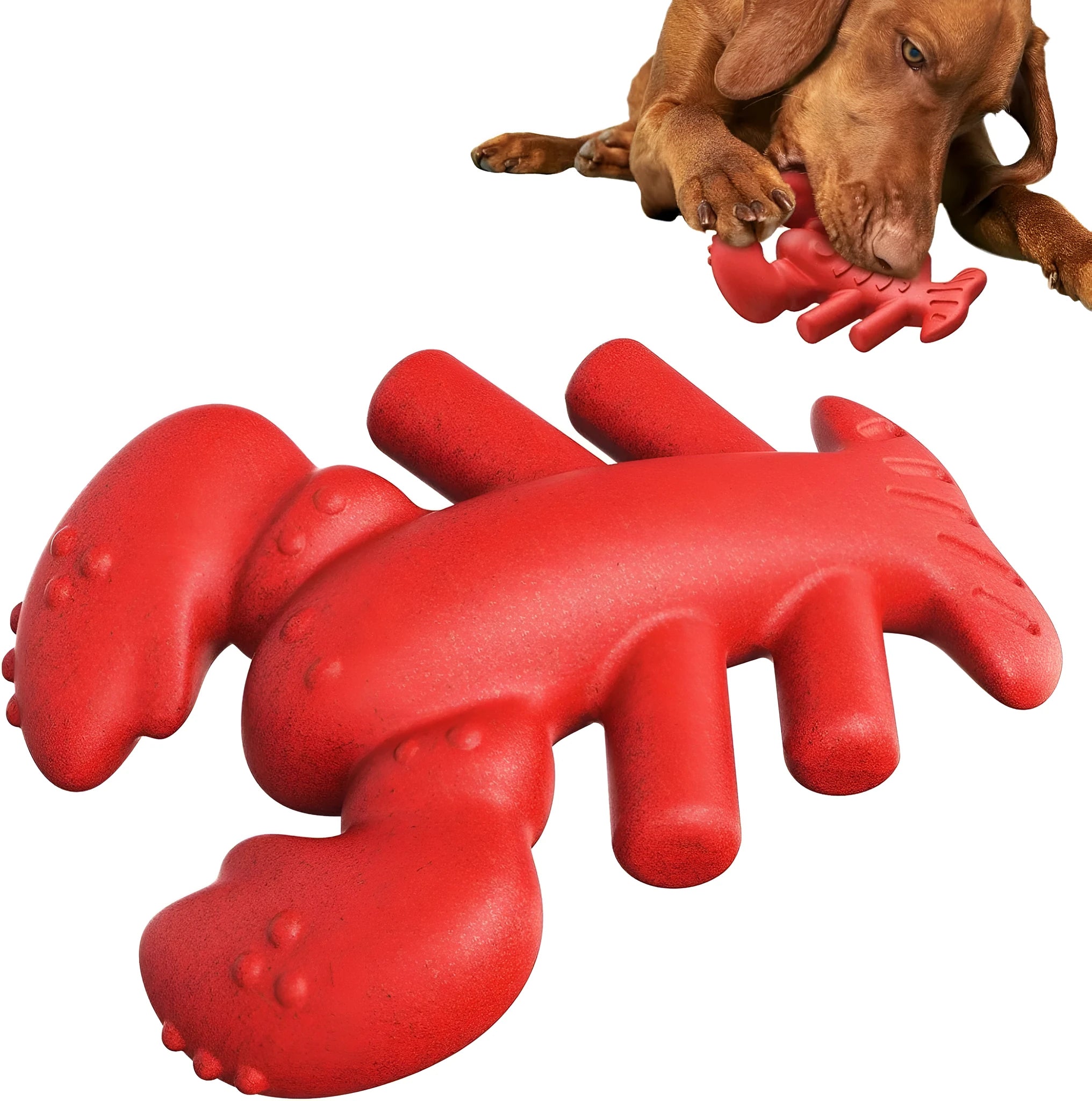 Red Nylabone dog chew toy for aggressive chewers measuring 170mm long