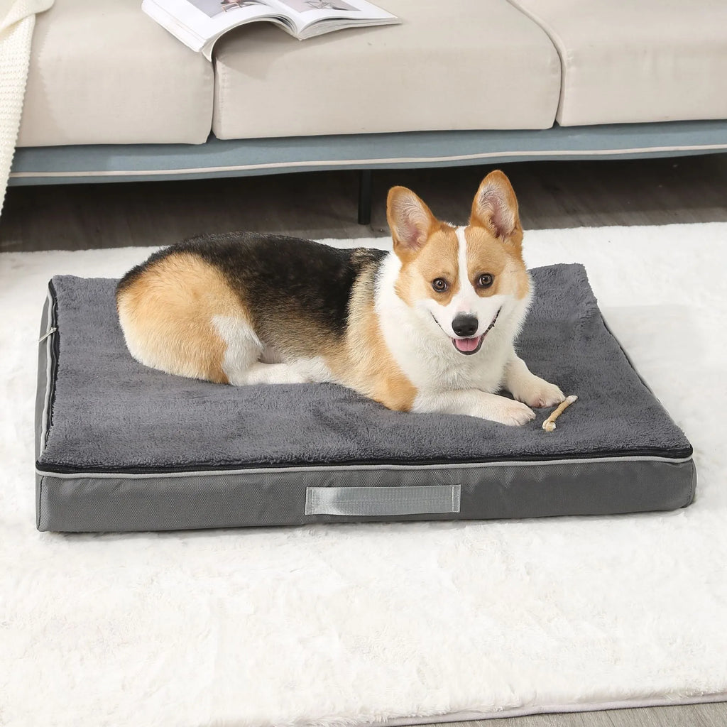 Removable washable memory sponge pet mat for dogs with brown Shu cotton velvet cover
