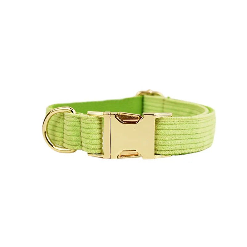 Soft corduroy dog collar in light grey with an adjustable fastener on a white background.