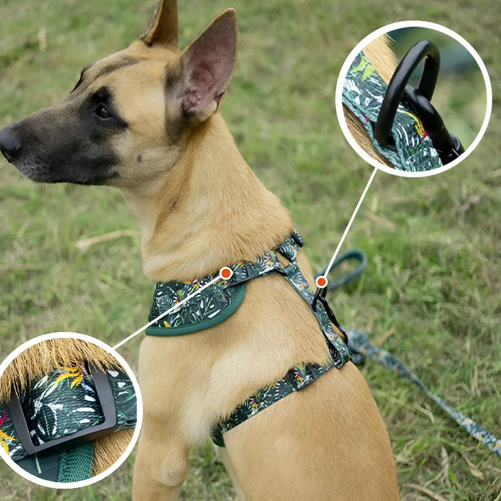 Adjustable cloth dog harness set with haulage rope, collar, waste bag, bow, and triangular scarf in six-piece configuration