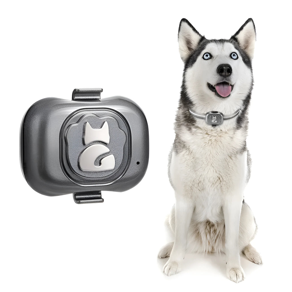 Black pet GPS locator device with hanging rope for dog or cat collar attachment