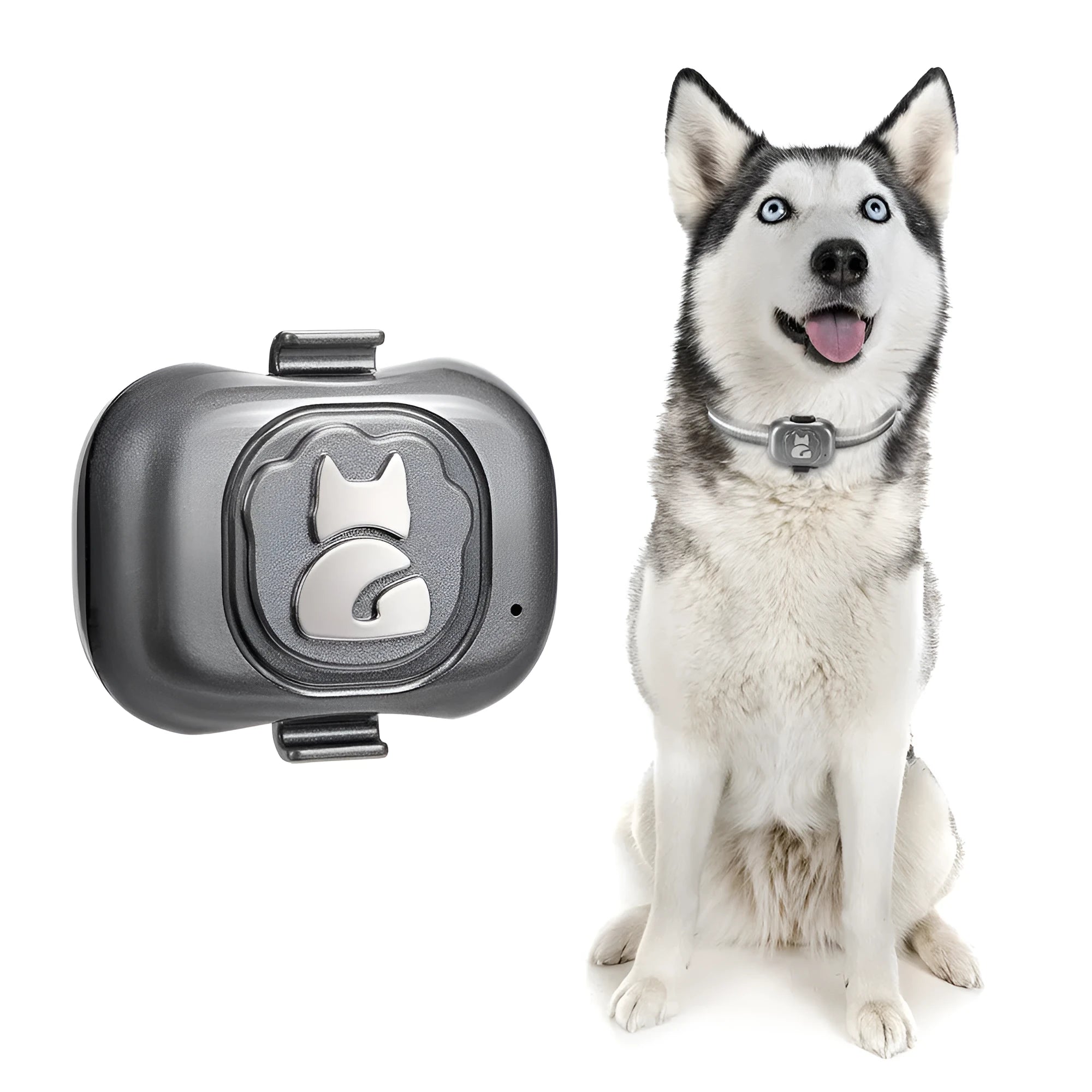 Black pet GPS locator device with hanging rope for dog or cat collar attachment