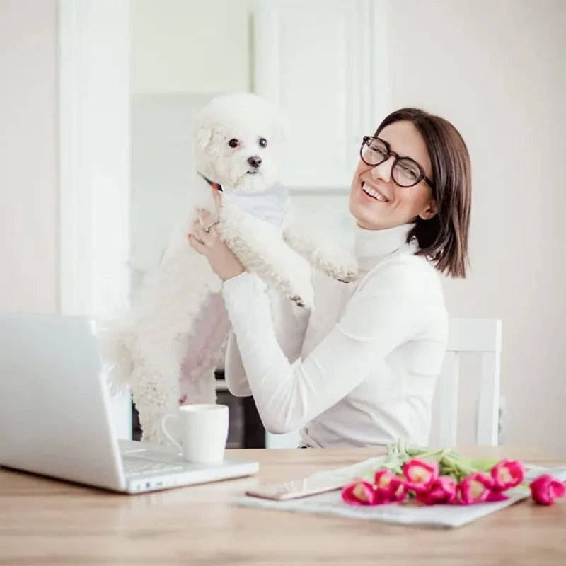 White blank polyester dog scarf for thermal transfer customisation showing four size options