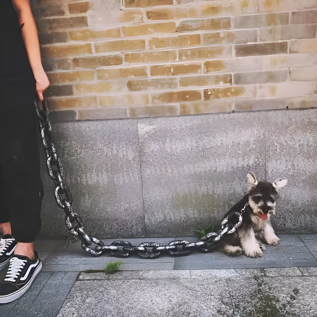 Metallic dog leash simulation prop for video content creation in three colour options