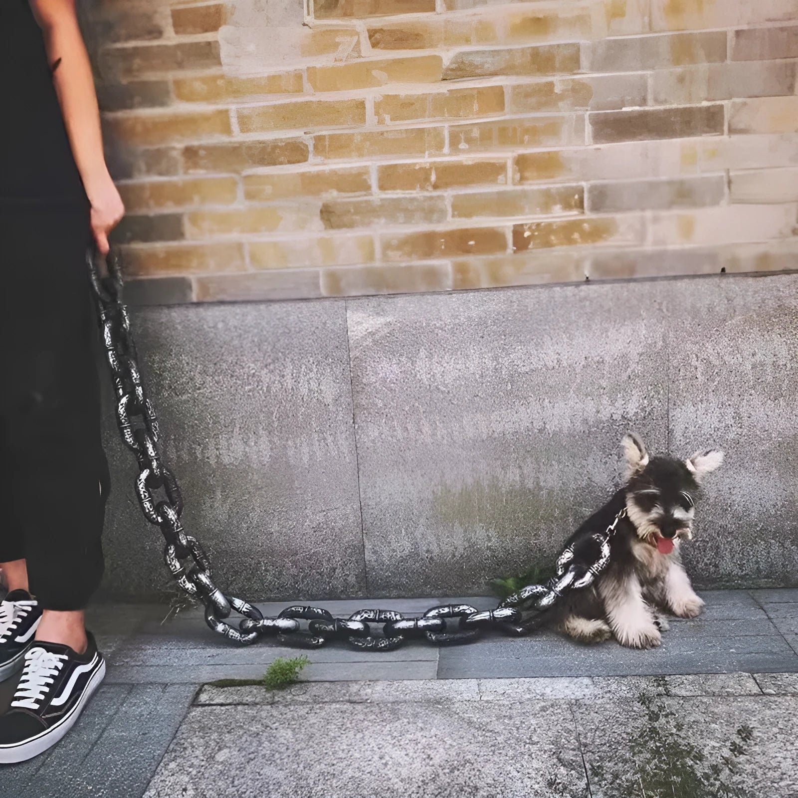 Metallic dog leash simulation prop for video content creation in three colour options