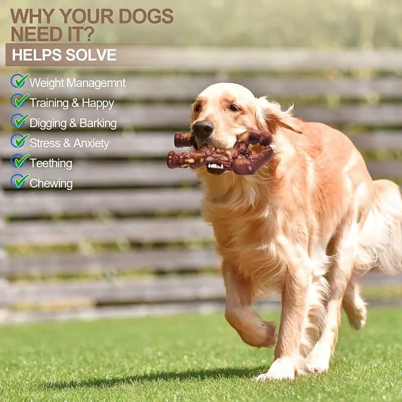 Scarlet red nylon dog chew toy with molar texture and beef flavour coating