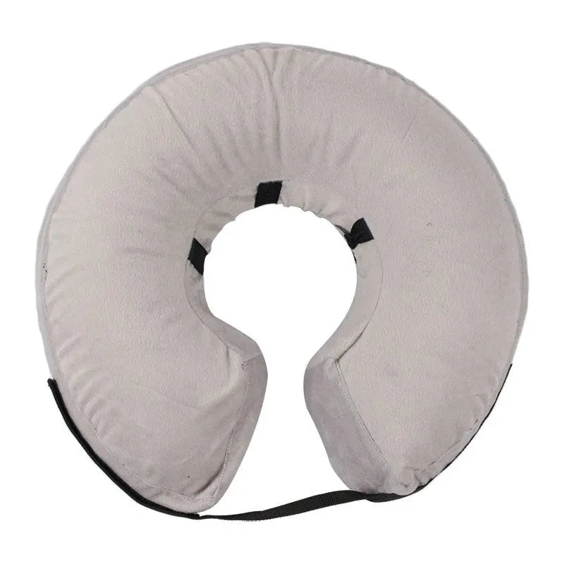 Blue inflatable protective recovery collar for a dog, showing soft padded ring and adjustable buckle strap.