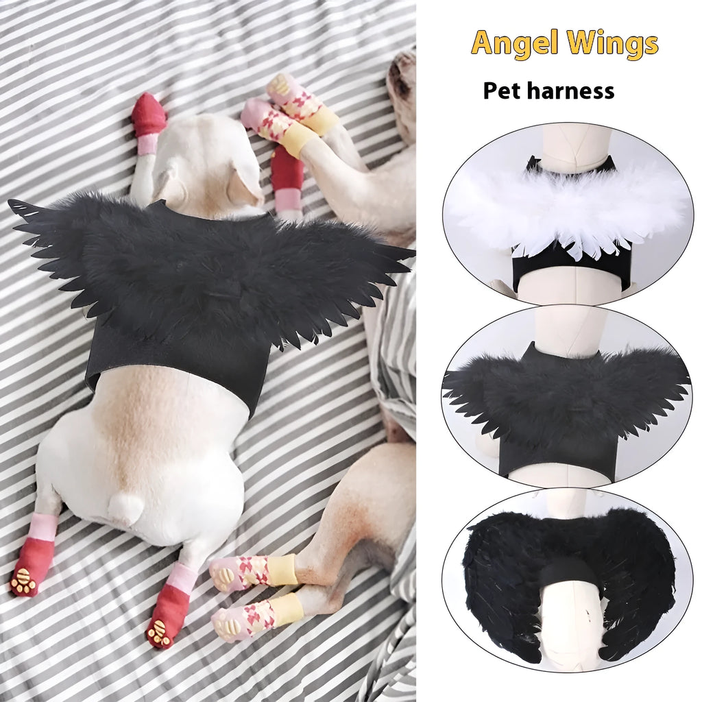 Black and white angel wings costume for dogs with chest-back attachment design