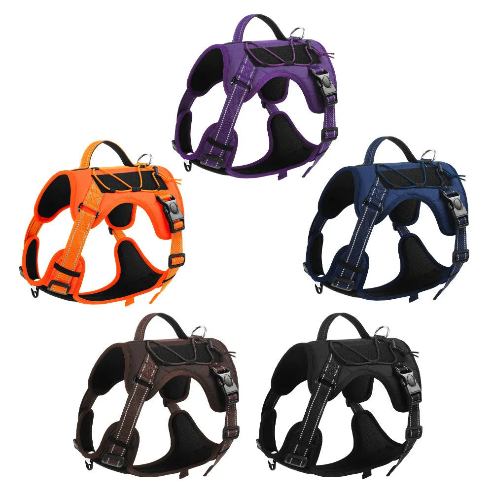 Orange reflective dog vest harness with a black hand-holding rope, shown on a medium-sized dog.
