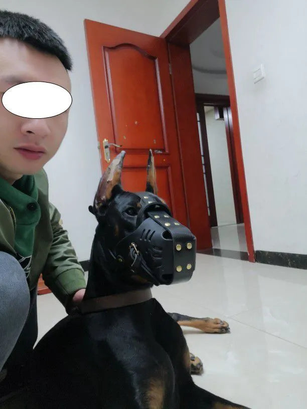 Black cowhide dog muzzle for medium and large dogs, basket design with soft lining, sizes L and M