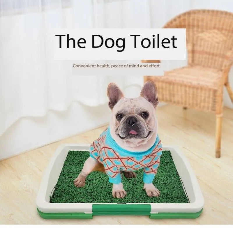 Green artificial turf dog toilet tray measuring 60cm by 40cm for indoor puppy potty training.