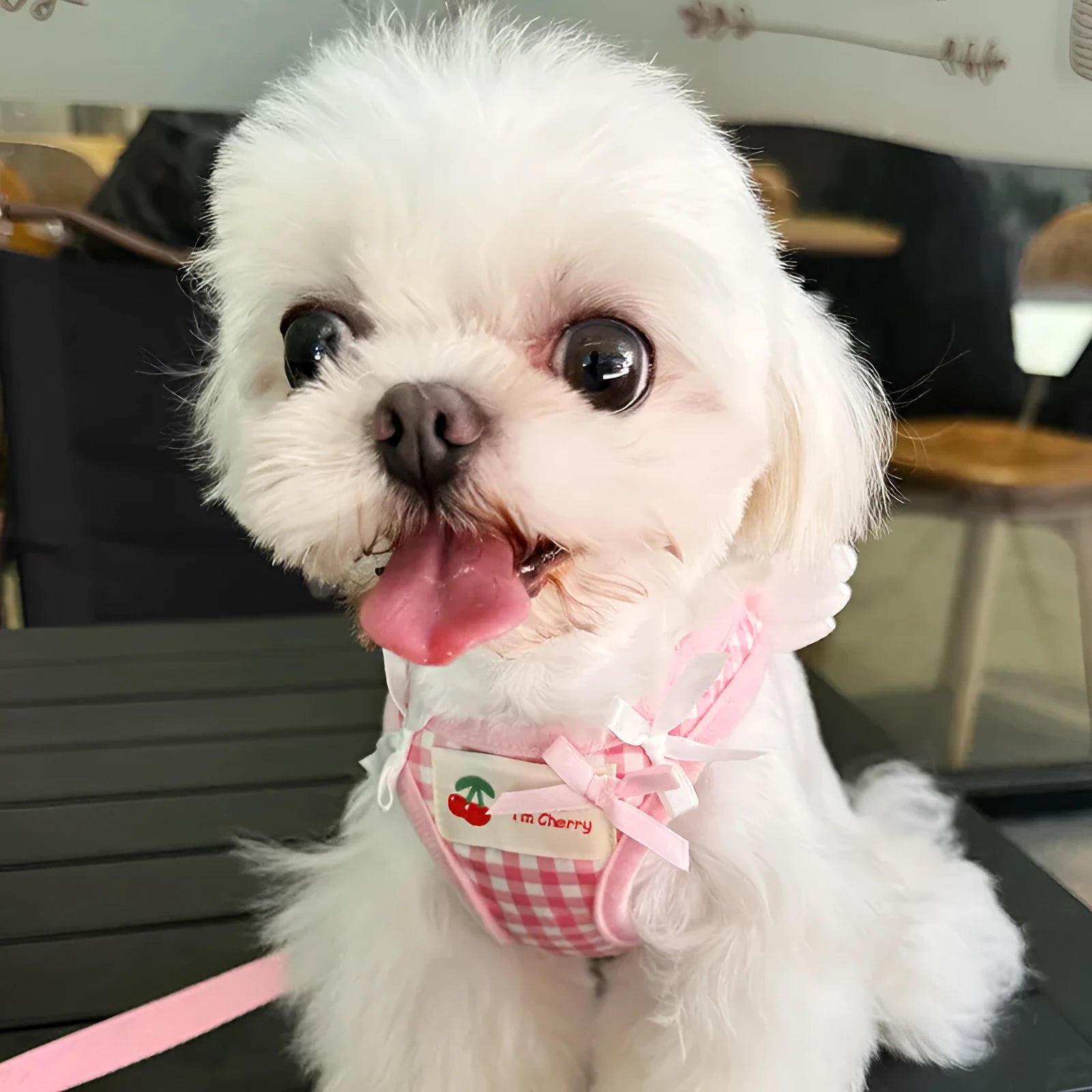 Pink cotton chest and back harness lead for a small dog on a white background.