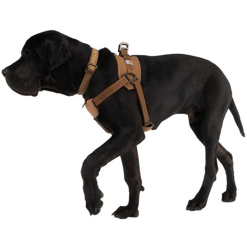 Dog chest strap training belt with reflective hand holding rope in sports style, showing M L XL size options