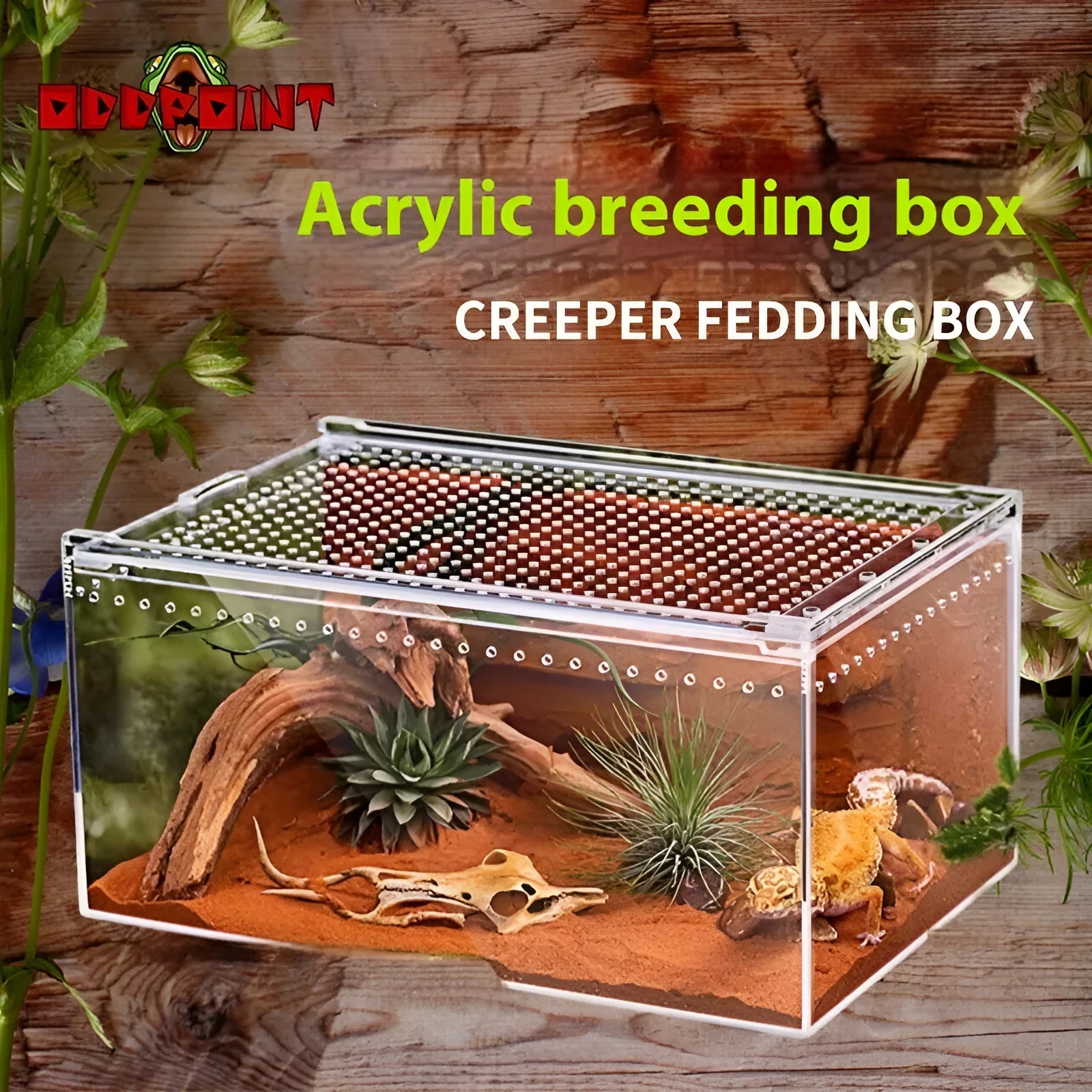 Clear acrylic reptile feeding box with five size options for different reptile species