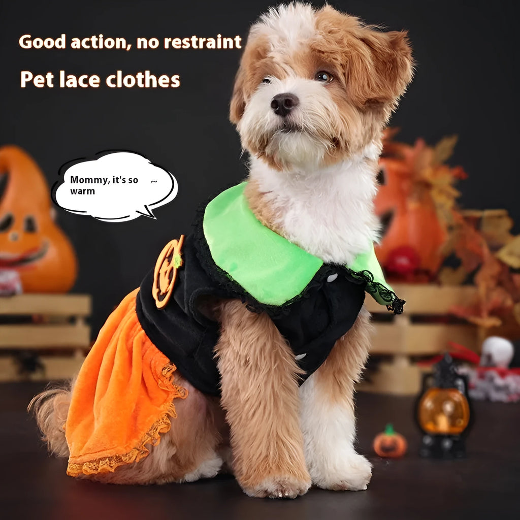 Halloween pet costume: orange pumpkin skirt and sweater for dog or cat made from crystal velvet fabric