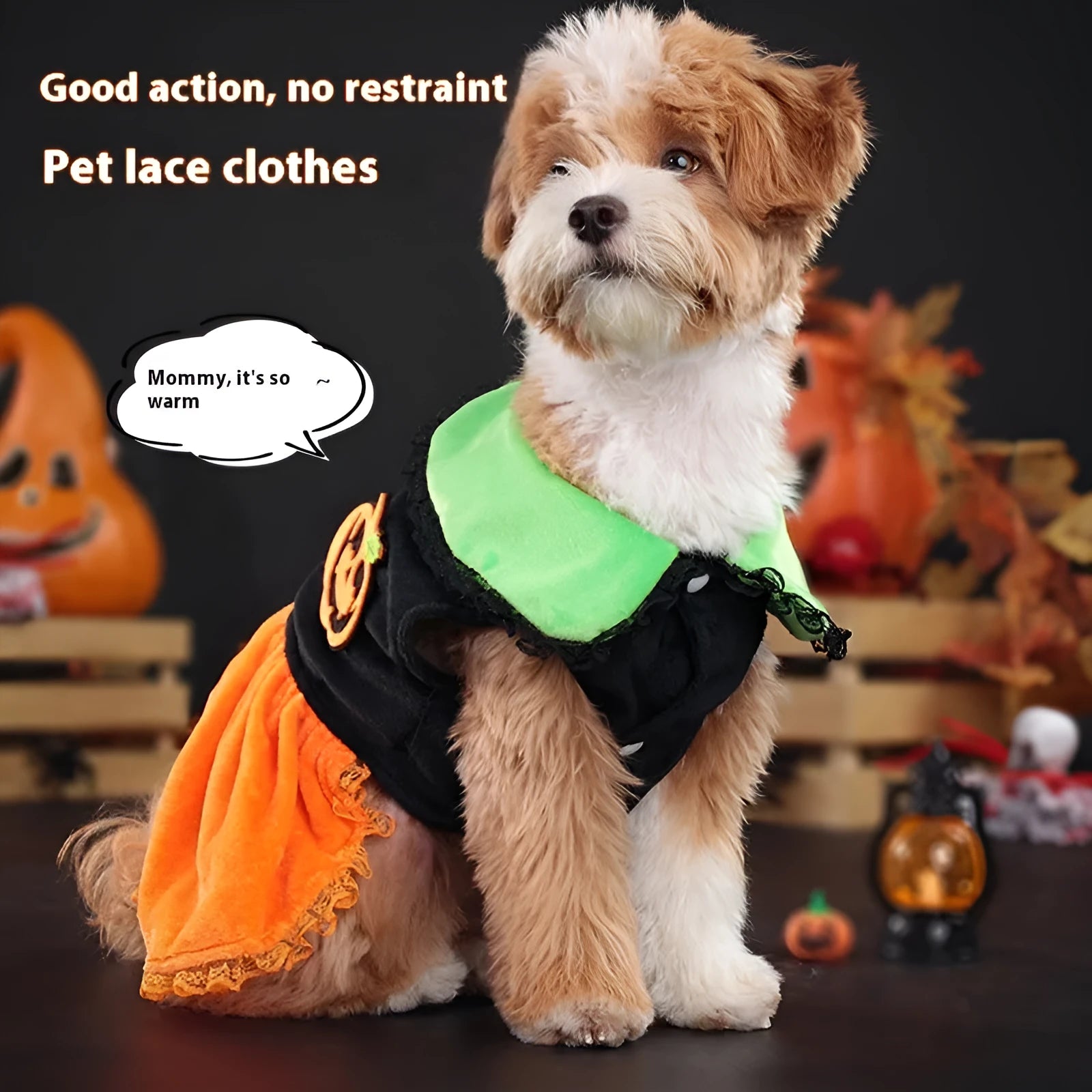 Halloween pet costume: orange pumpkin skirt and sweater for dog or cat made from crystal velvet fabric