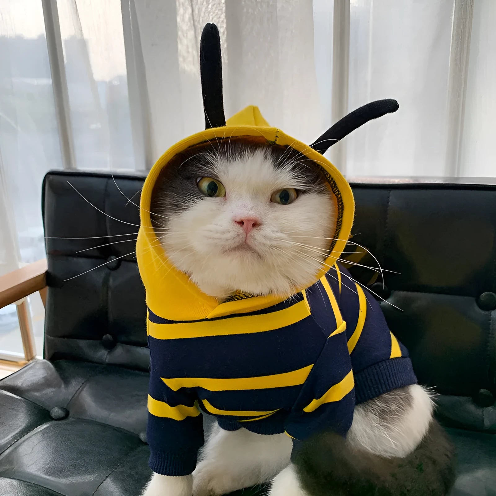 Yellow striped bee costume hoodie for bulldog pet winter jacket made of cotton plush material