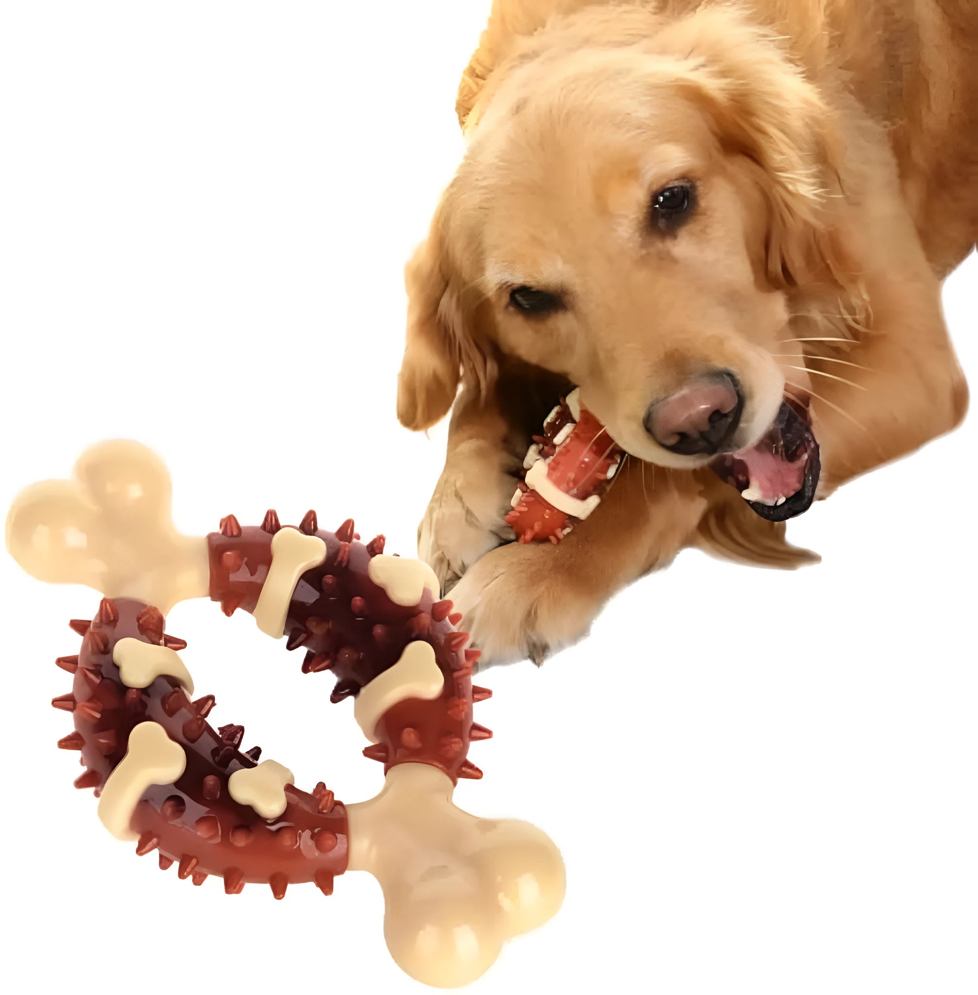 Natural rubber bone-shaped dog dental chew toy for teeth grinding and anxiety relief