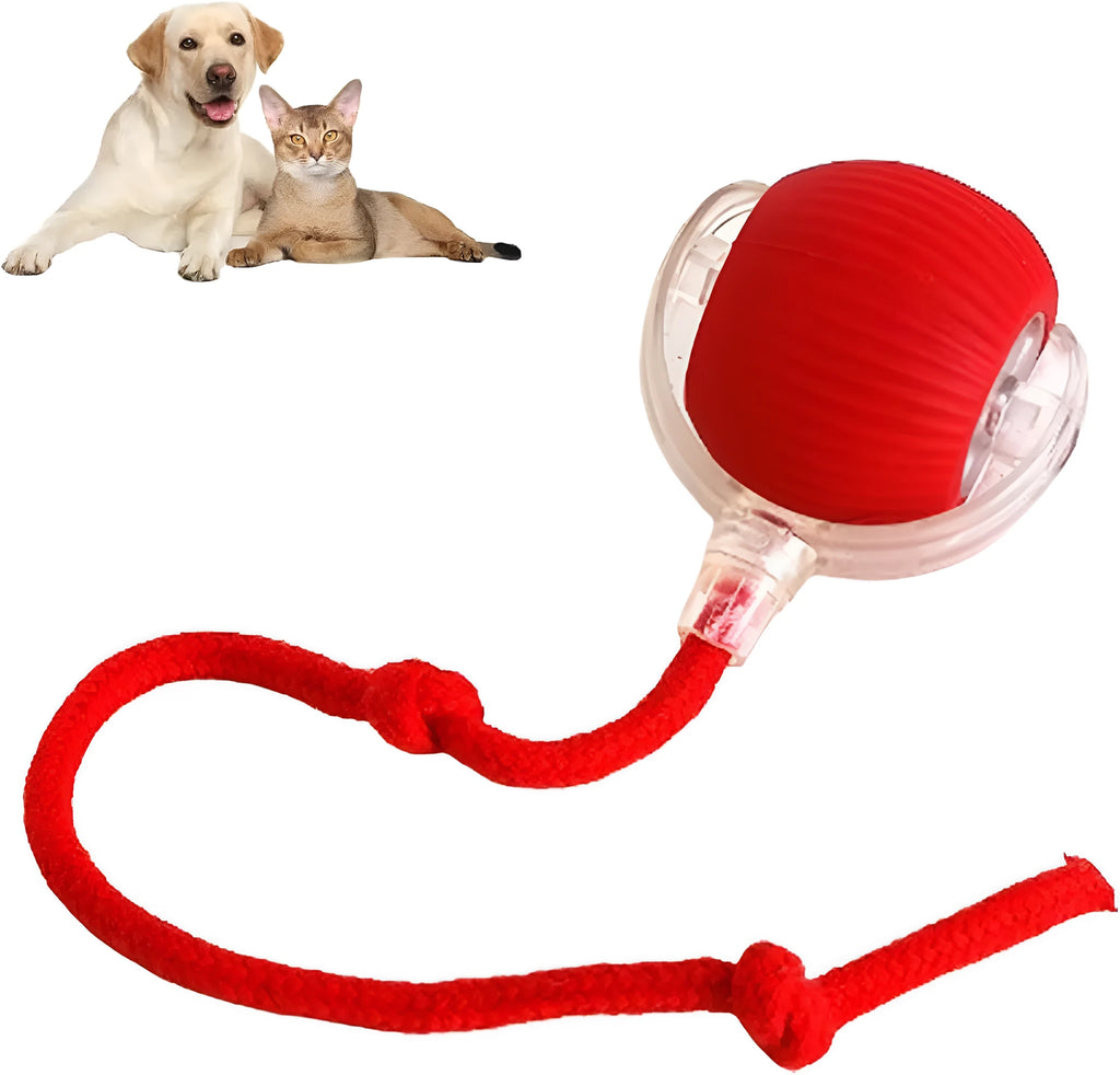 Automatic rolling ball toy for dogs and cats with hanging rope in red colour