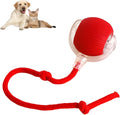 Automatic rolling ball toy for dogs and cats with hanging rope in red colour