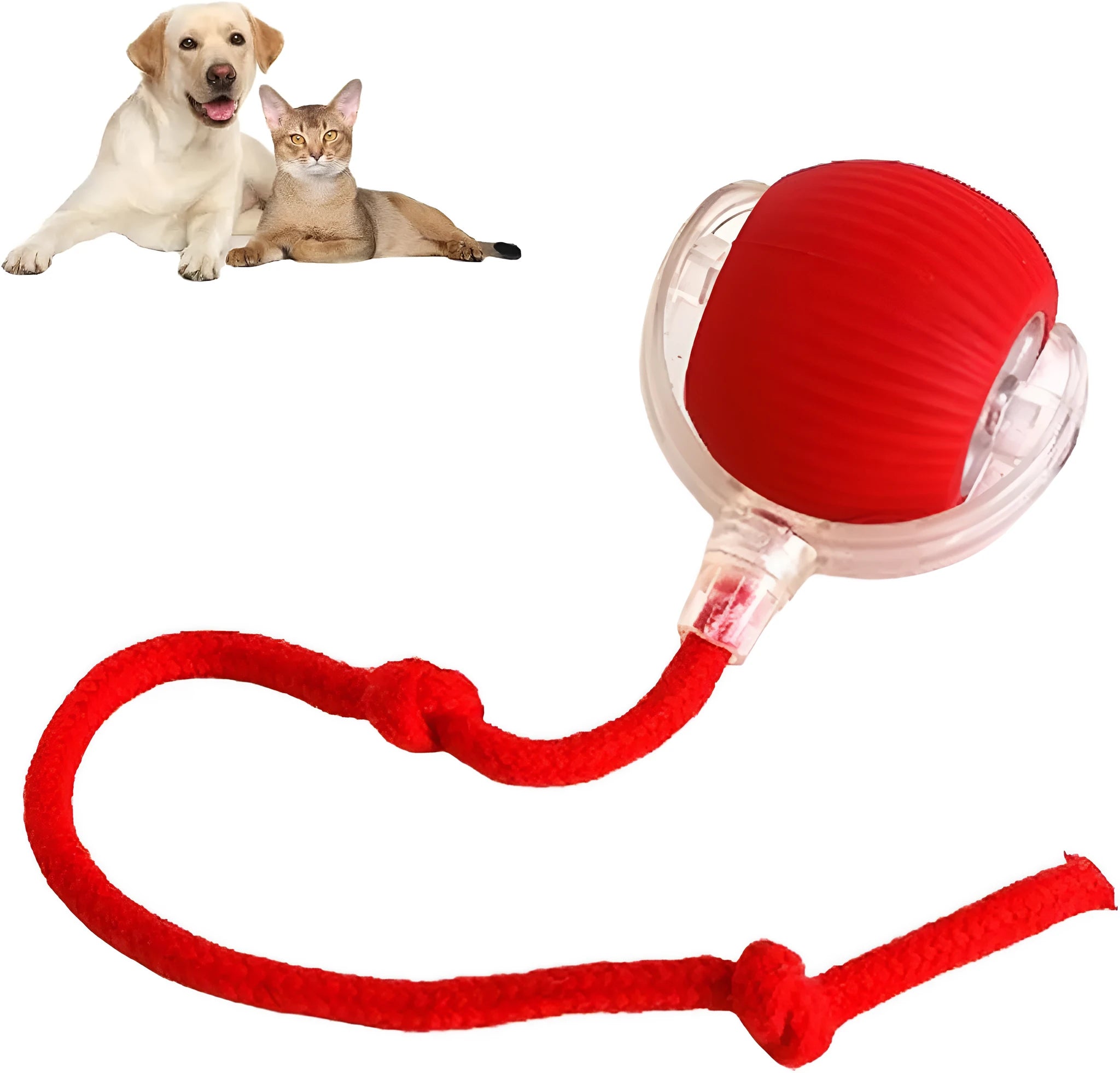 Automatic rolling ball toy for dogs and cats with hanging rope in red colour