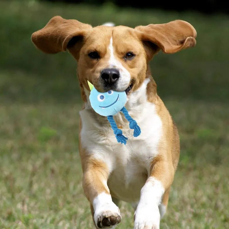 Blue or yellow cotton rope dog squeaky toy with knot design for teething and interactive play