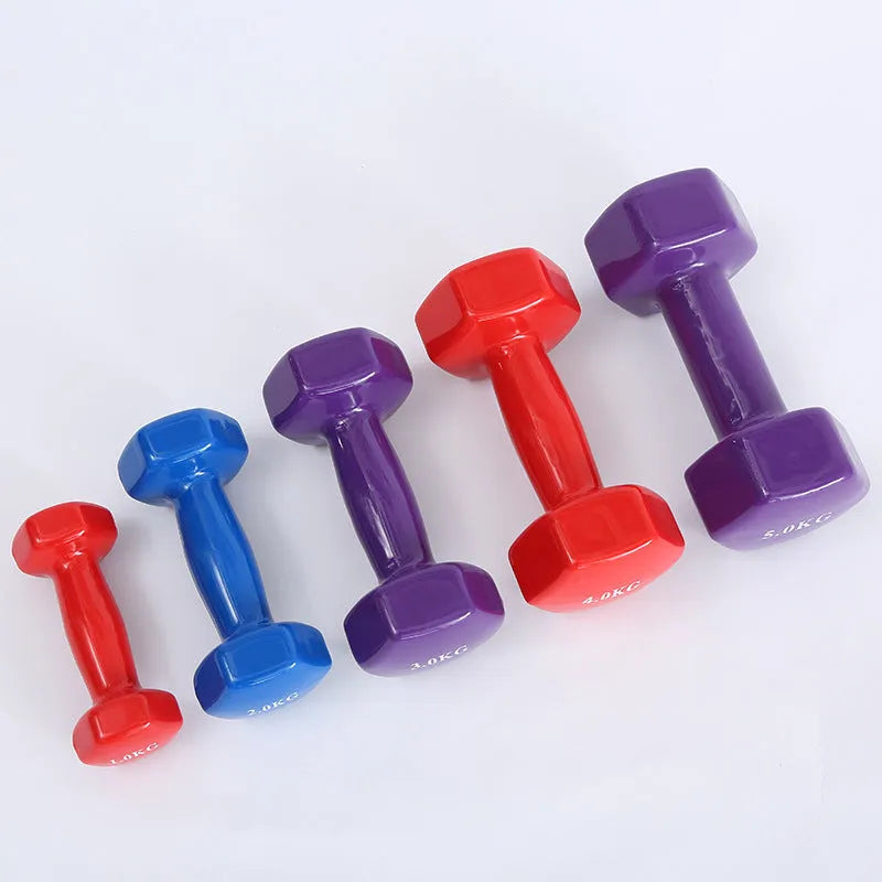 Bright colour plastic fitness dumbbells with glossy surface in 0.5kg 1kg 1.5kg weights for home workouts