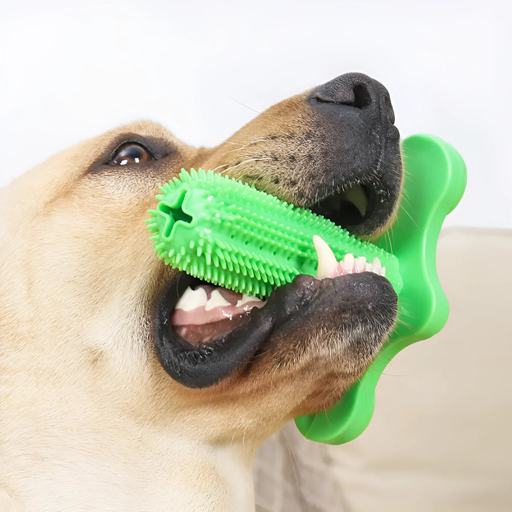 Green TPR dog chew toy with suction cup base and molar rod for teeth cleaning and tartar prevention