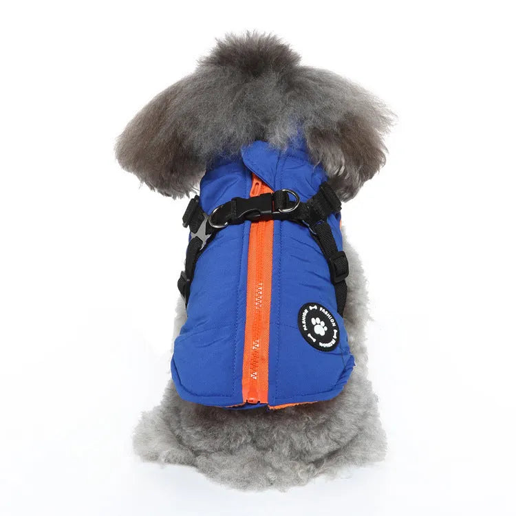 Chest strap dog winter coat in blue colour with cotton-padded insulation and secure fastening
